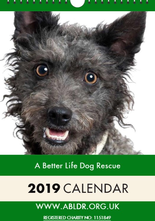 2019-Calendar.jpg