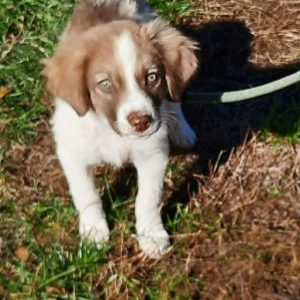 A6C1FC3F-60C7-42ED-AF16-BD6EBDCE3536 A6C1FC3F-60C7-42ED-AF16-BD6EBDCE3536