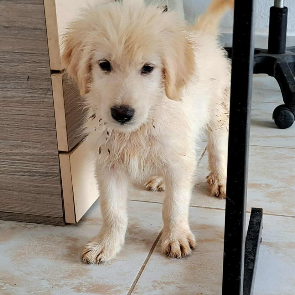 0f6b768945df2e5d3d79be09bb4f6707 0f6b768945df2e5d3d79be09bb4f6707