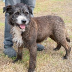 0686e7e56393942b422e6fa8e653d566 0686e7e56393942b422e6fa8e653d566