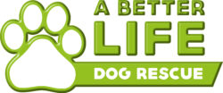 A Better Life Dog Rescue - Rescuing and re-homing dogs from Romania and Portugal