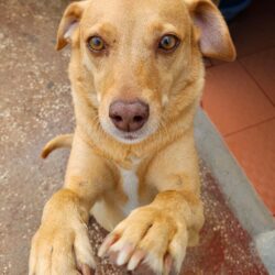 b249902f4e0e80fd792bfff5d46b43b0 b249902f4e0e80fd792bfff5d46b43b0