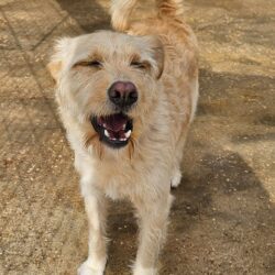 d4c3c9e05e4421082fc7f901de8a693c d4c3c9e05e4421082fc7f901de8a693c