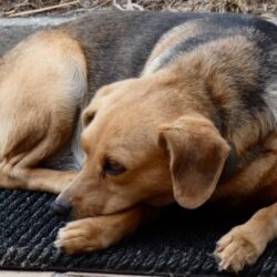 f70ada35d6db240d75e794c3bfb01d9a f70ada35d6db240d75e794c3bfb01d9a